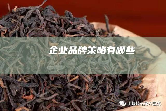 企业品牌策略有哪些