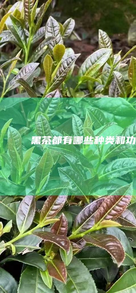 黑茶都有哪些种类和功效