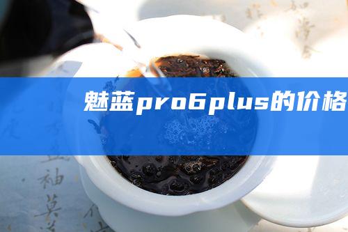 魅蓝pro6plus的价格是多少