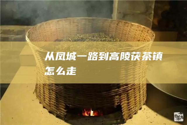 从凤城一路到高陵茯茶镇怎么走