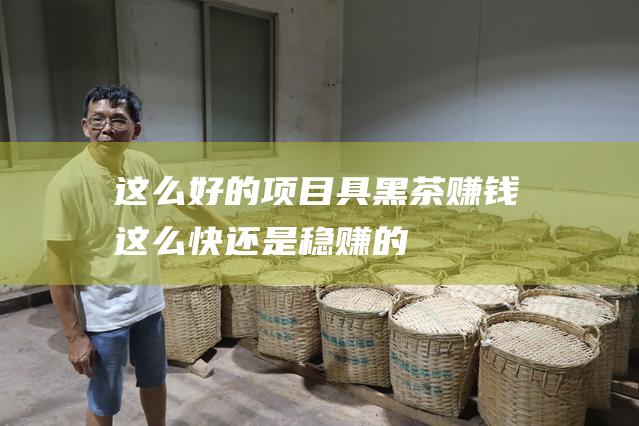 这么好的项目具 黑茶赚钱这么快 还是稳赚的