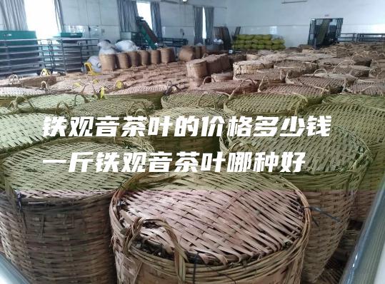 铁观音茶叶的价格多少钱一斤 铁观音茶叶哪种好