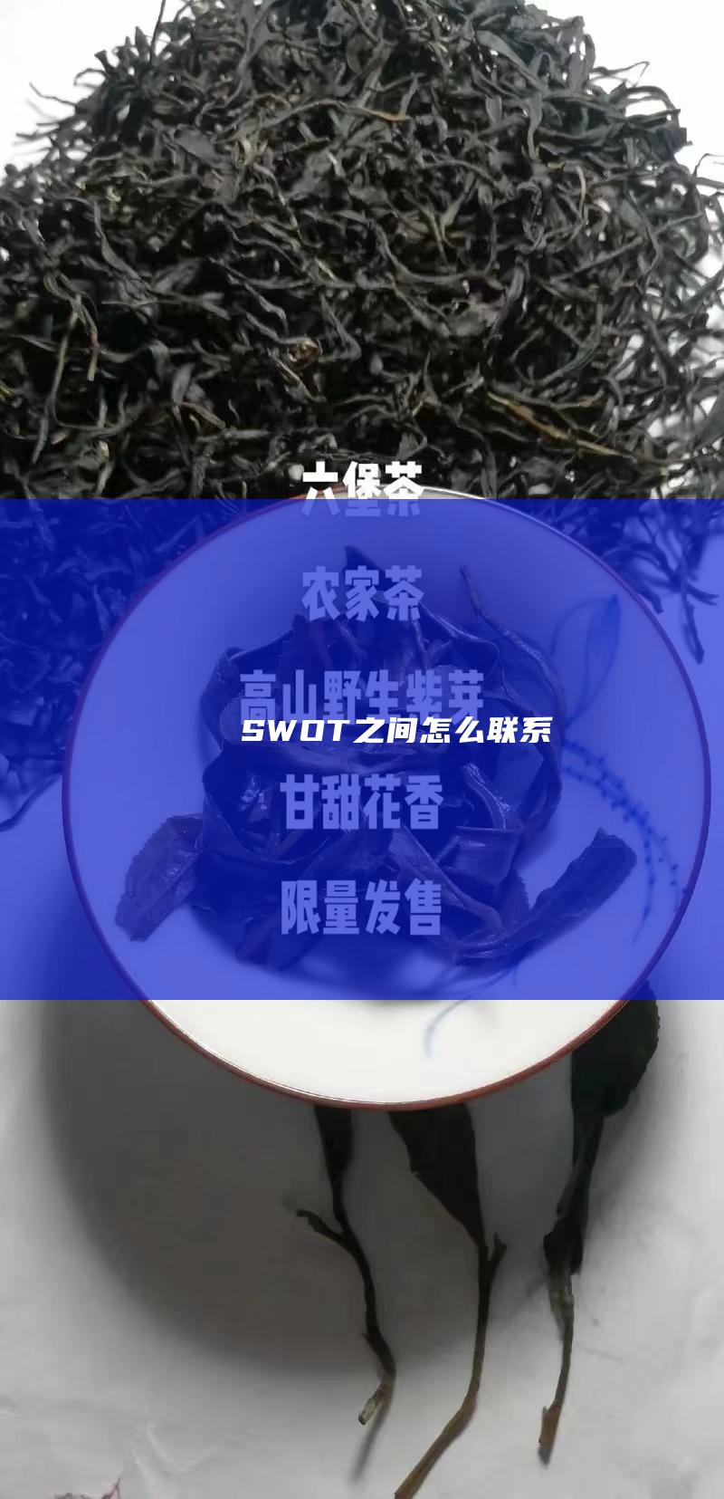 SWOT之间怎么联系