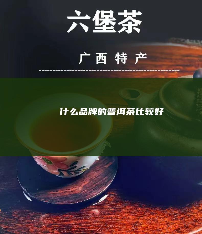 什么品牌的普洱茶比较好