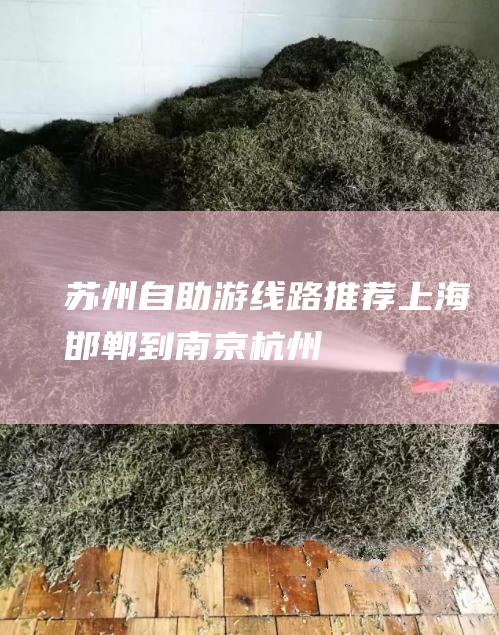 苏州自助游线路推荐 上海 邯郸到南京 杭州