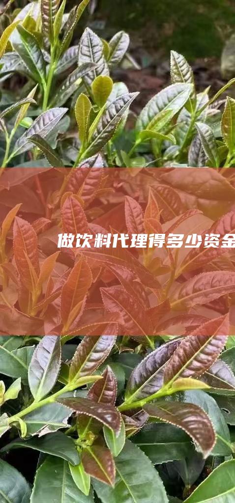 做饮料代理得多少资金