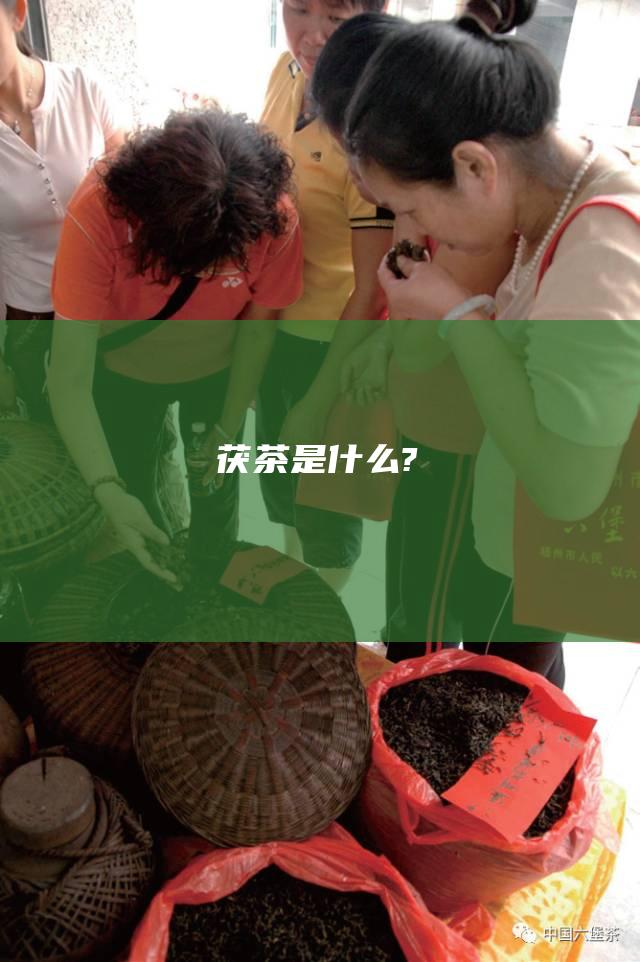 茯茶是什么?