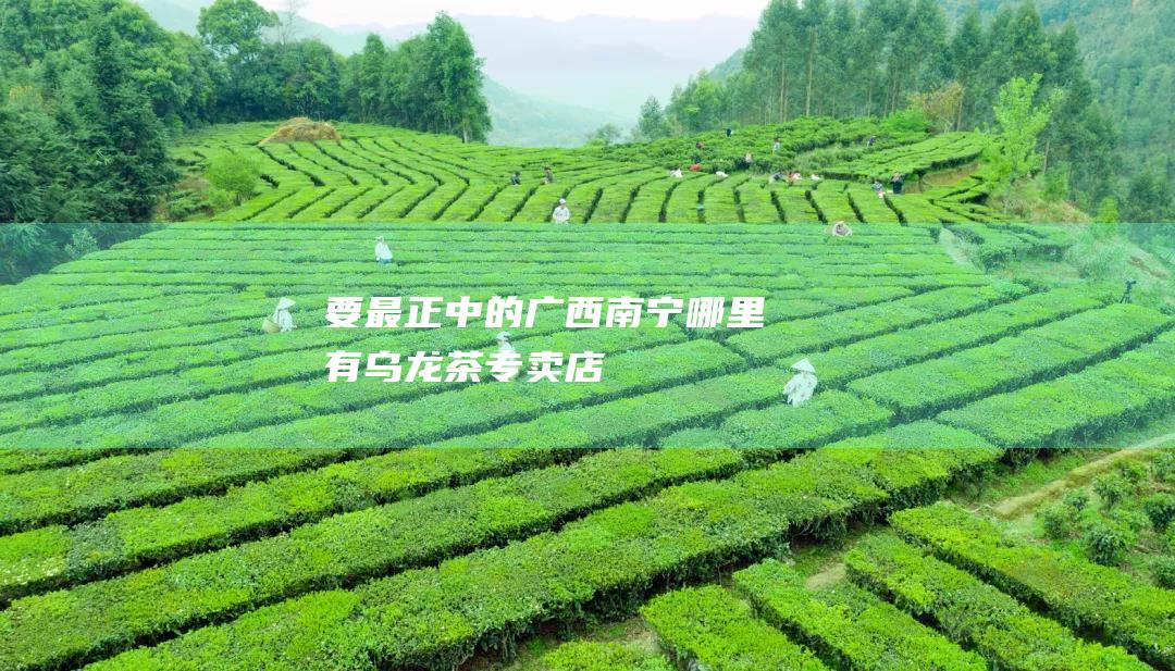 要最正中的 广西南宁哪里有乌龙茶专卖店