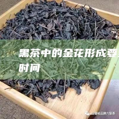 黑茶中的金花形成要多长时间