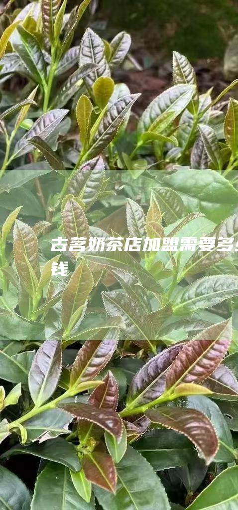 古茗奶茶店加盟需要多少钱