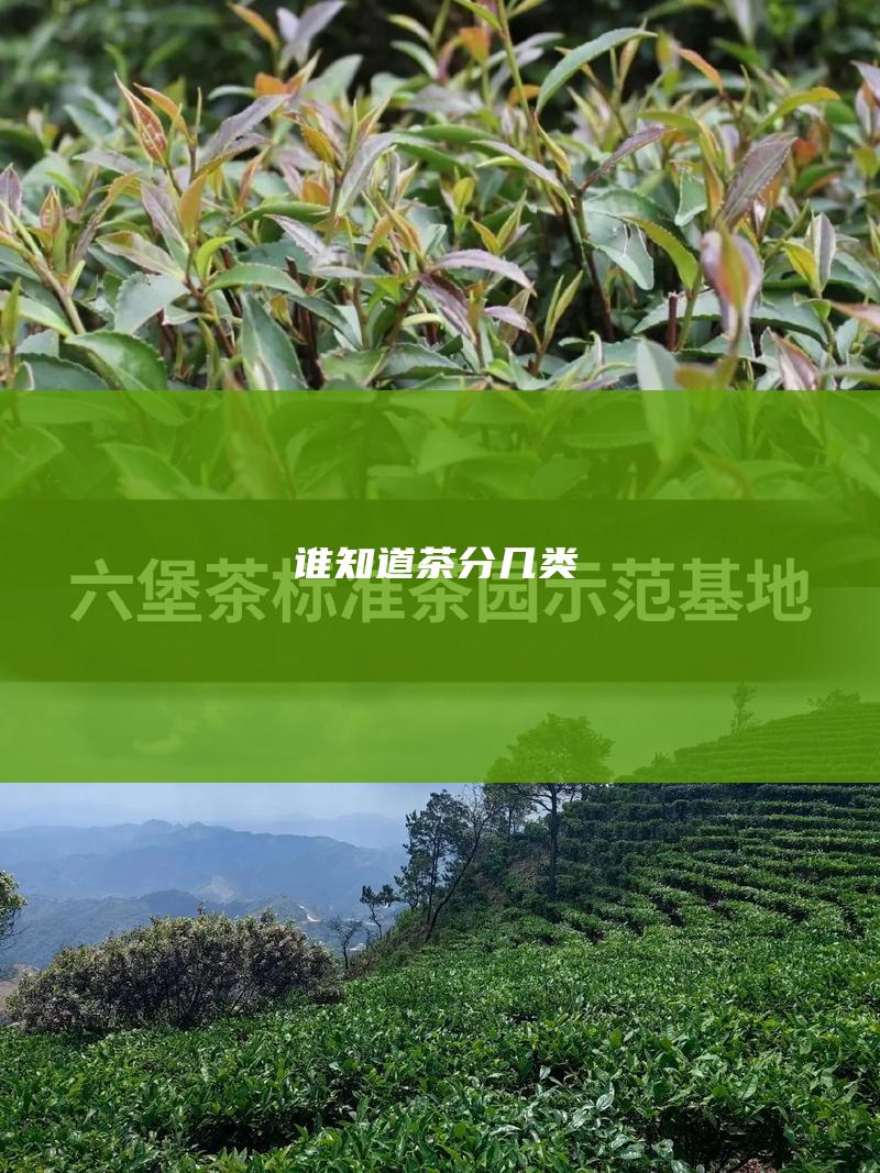 谁知道茶分几类