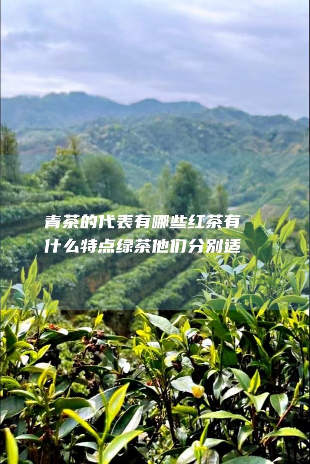 青茶的代表有哪些 红茶 有什么特点 绿茶 他们分别适合什么人喝 想知道黑茶