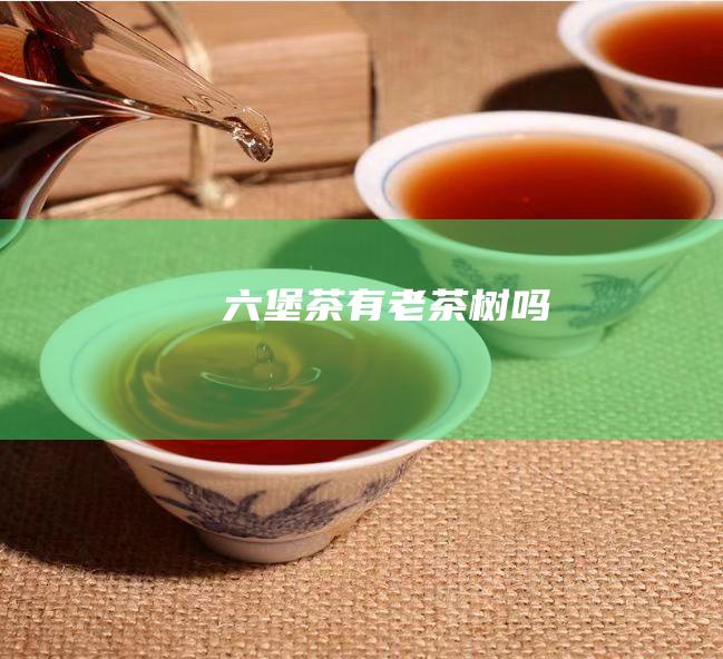 六堡茶有老茶树吗