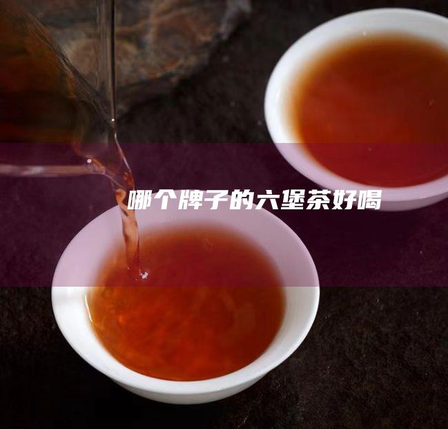 哪个牌子的六堡茶好喝