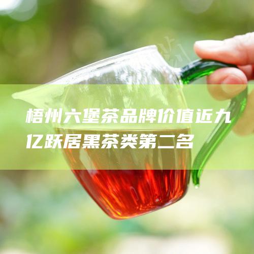 梧州六堡茶品牌价值近九亿跃居黑茶类第二名