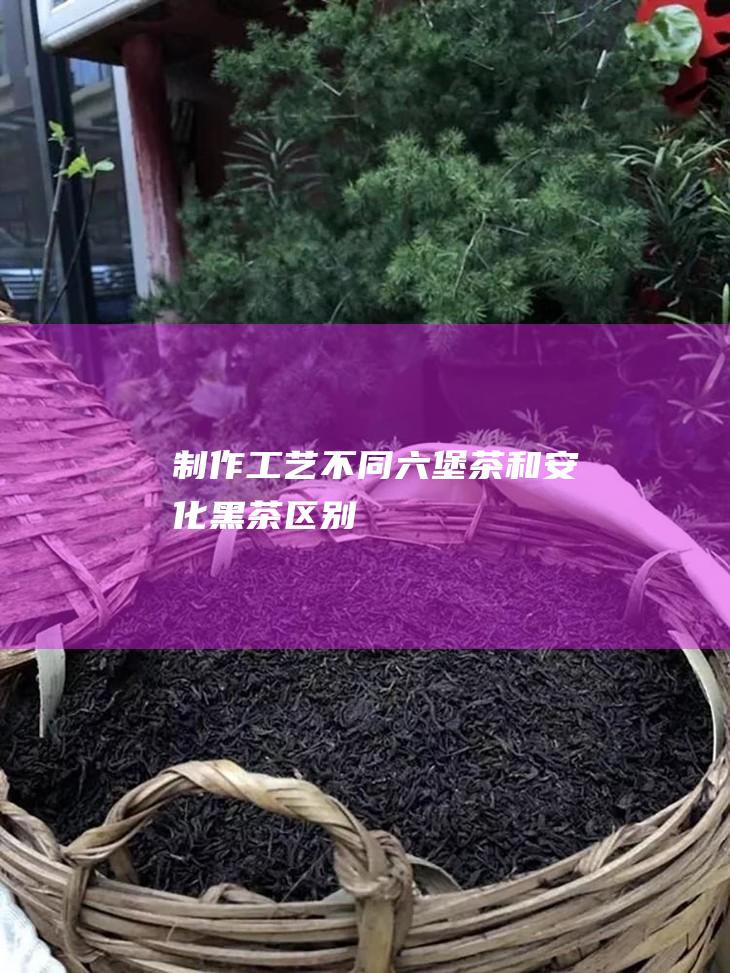 制作工艺不同 六堡茶和安化黑茶区别