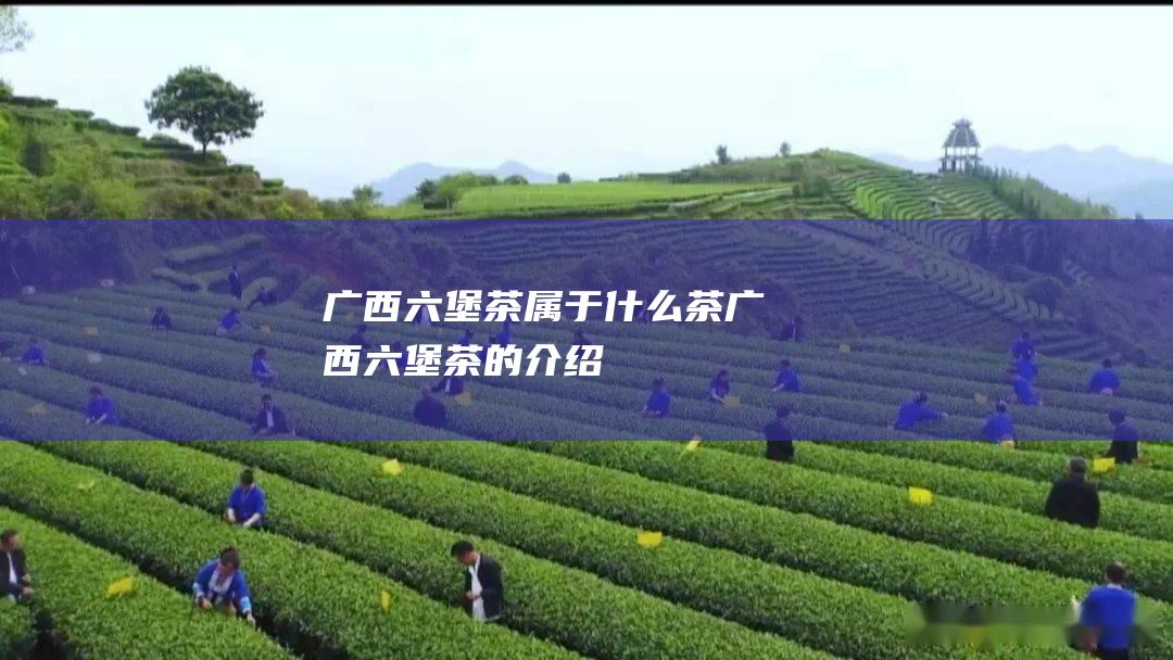 广西六堡茶属于什么茶 广西六堡茶的介绍