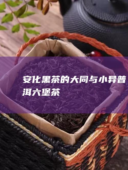 安化黑茶的大同与小异 普洱 六堡茶