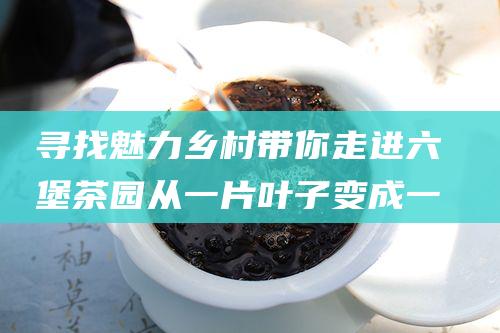 寻找魅力乡村带你走进六堡茶园 从一片叶子变成一杯茶汤