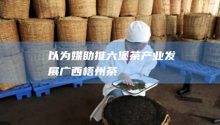 以 为媒助推六堡茶产业发展 广西梧州 茶