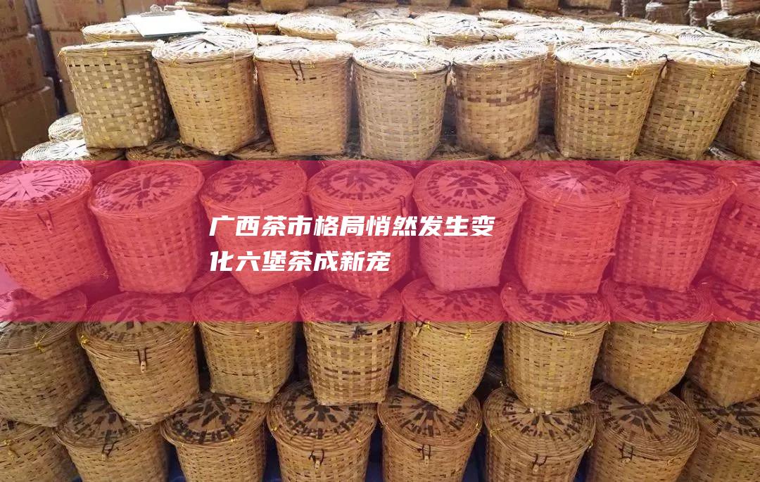 广西茶市格局悄然发生变化六堡茶成新宠