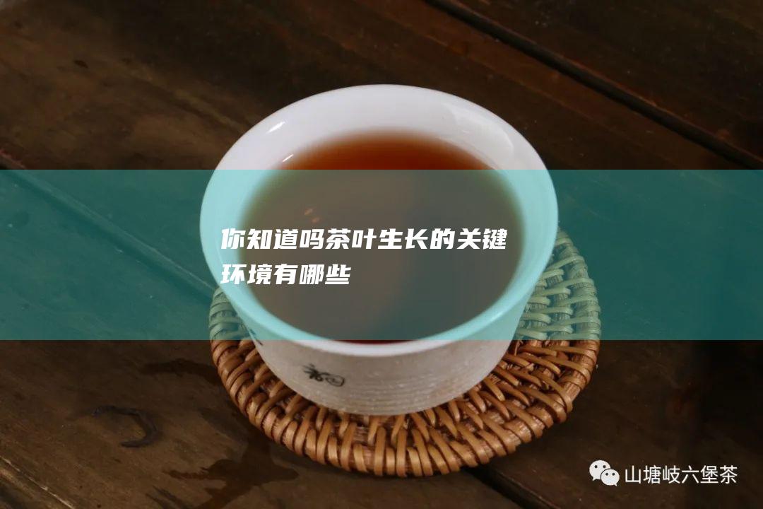 你知道吗 茶叶生长的关键环境有哪些