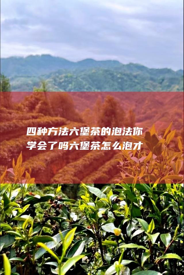 四种方法茶的泡法你学会了吗茶怎么泡才