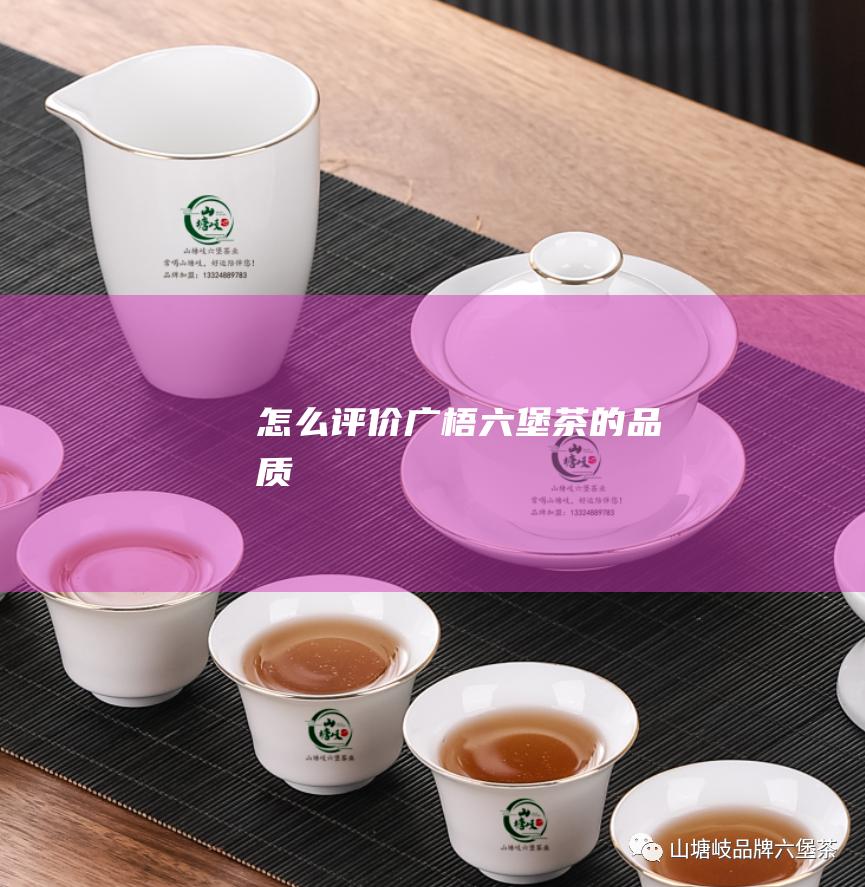 怎么评价广梧六堡茶的品质