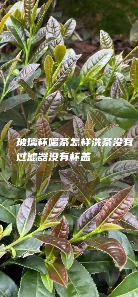 玻璃杯喝茶怎样洗茶 没有过滤器没有杯盖