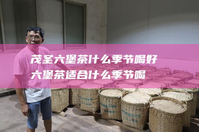 茂圣六堡茶什么季节喝好六堡茶适合什么季节喝