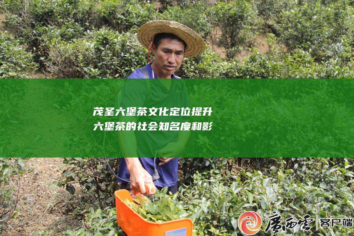 茂圣六堡茶文化定位提升六堡茶的社会知名度和影