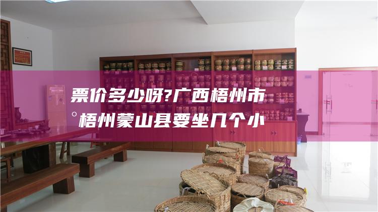 票价多少呀?广西市到蒙山县要坐几个小