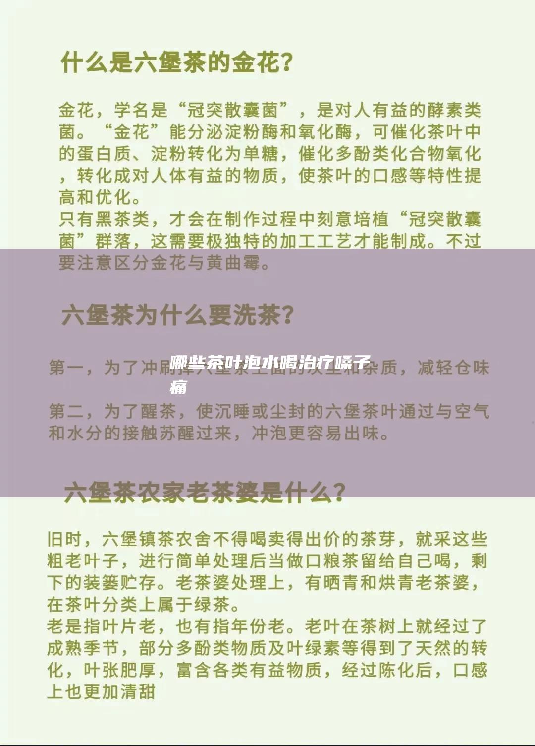 哪些茶叶泡水喝治疗嗓子痛