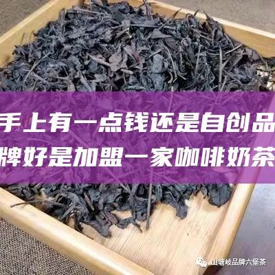 手上有一点钱 还是自创品牌好 是加盟一家咖啡奶茶甜品店是的好