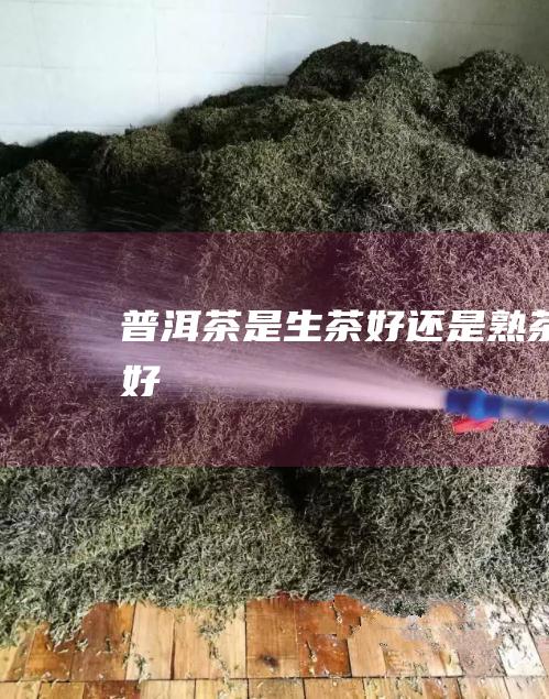 普洱茶是生茶好还是熟茶好