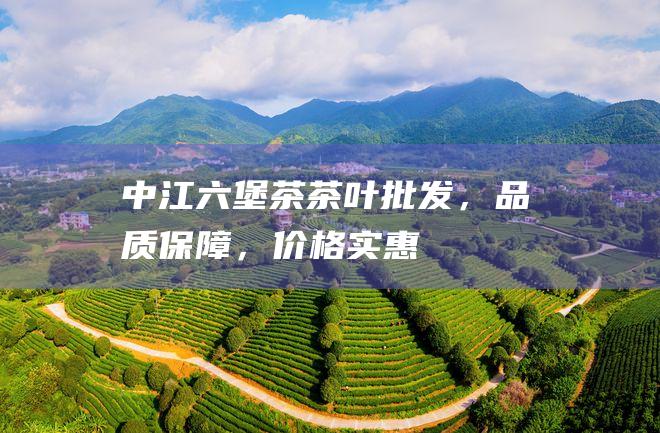 中江六堡茶茶叶批发，品质保障，价格实惠