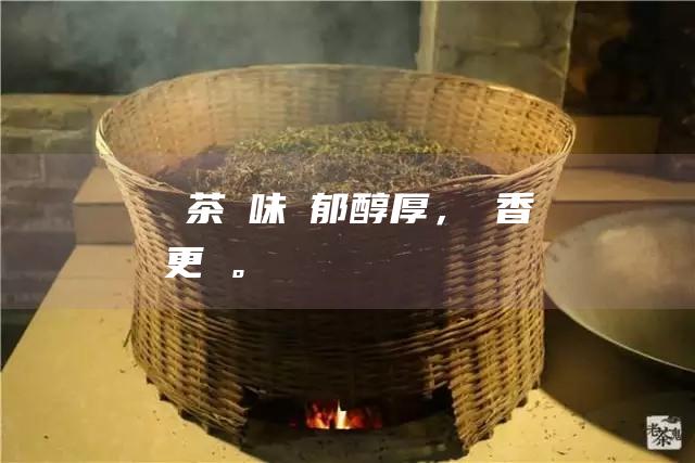 磚茶：風味濃郁醇厚，陳香更濃。