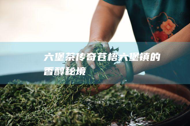 六堡茶传奇：苍梧六堡镇的香醇秘境