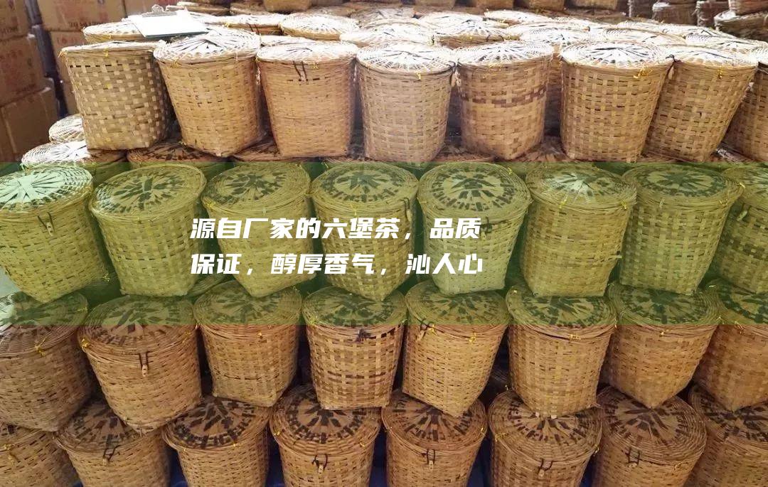 源自厂家的六堡茶，品质保证，醇厚香气，沁人心脾