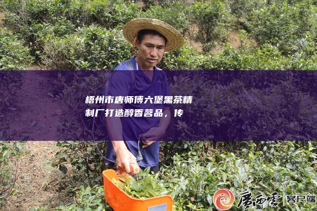 梧州市唐师傅六堡黑茶精制厂：打造醇香茗品，传承茶文化精髓