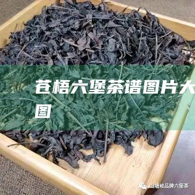 苍梧六堡茶谱图片大全大图