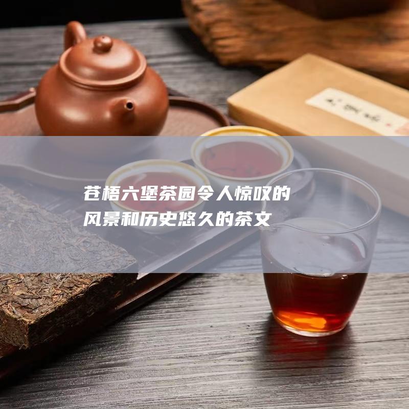 苍梧六堡茶园：令人惊叹的风景和历史悠久的茶文化