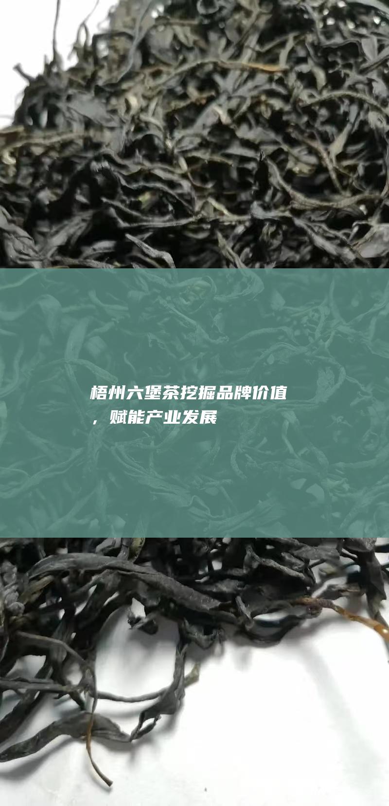 梧州六堡茶：挖掘品牌价值，赋能产业发展