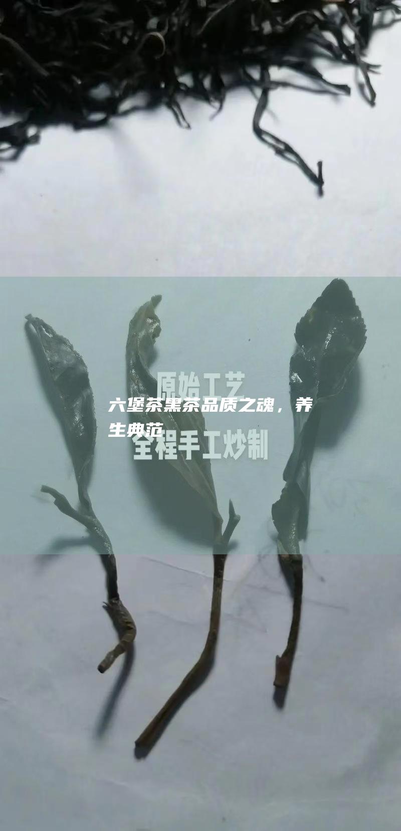 六堡茶黑茶：品质之魂，养生典范