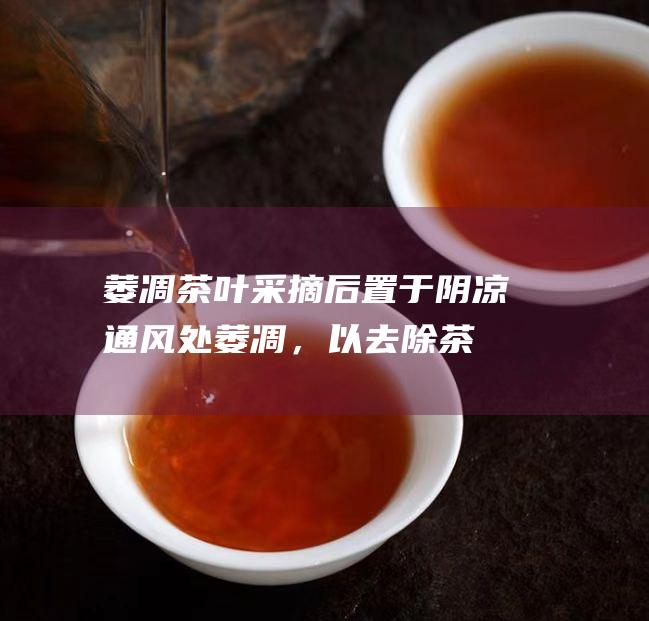 萎凋：茶叶采摘后置于阴凉通风处萎凋，以去除茶：取适量六堡茶放入壶中，约占壶容量的 1/3。