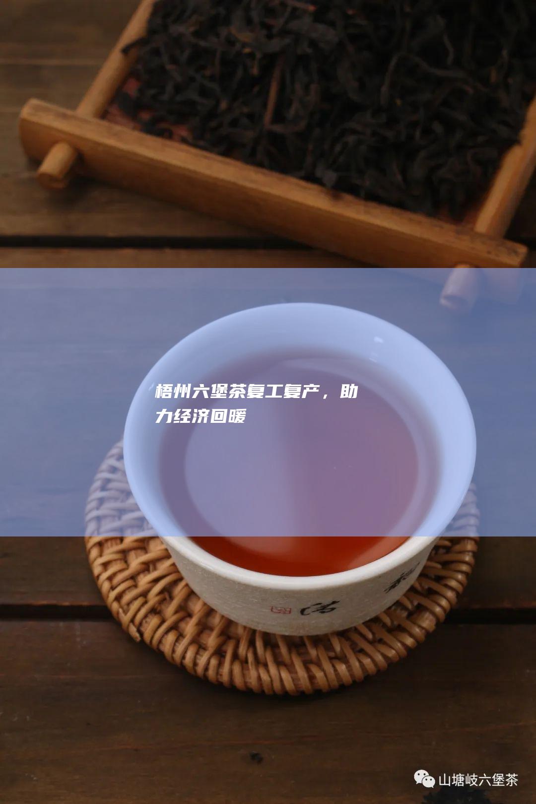 梧州六堡茶复工复产，助力经济回暖