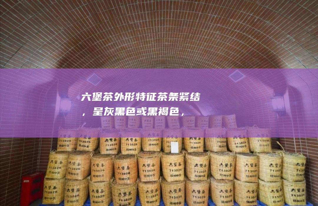 六堡茶外形特征茶条紧结，呈灰黑色或黑褐色，