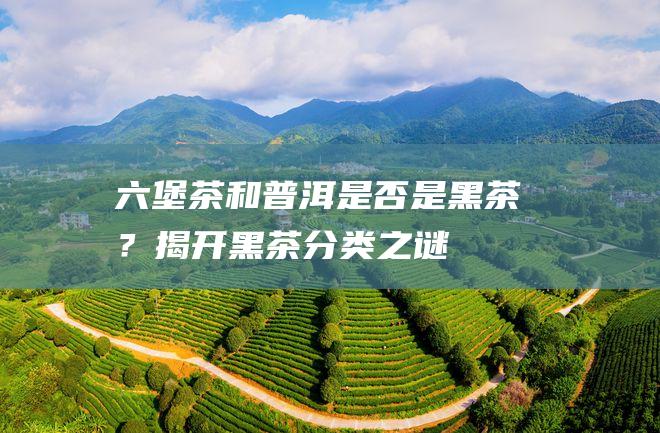 六堡茶和是否是黑茶？揭开黑茶分类之谜