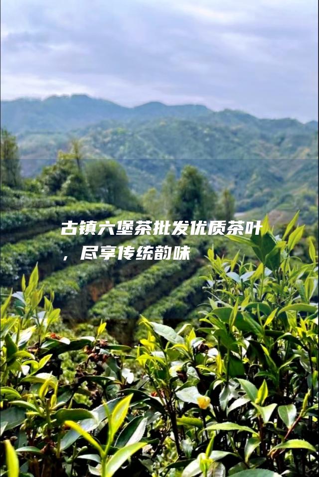 古镇六堡茶：批发优质茶叶，尽享传统韵味