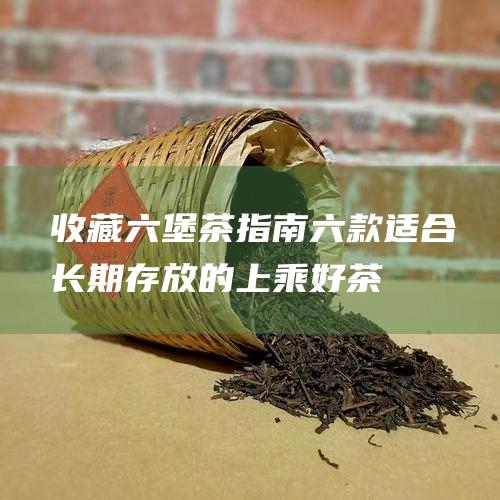 收藏茶指南六款适合长期存放的上乘好茶